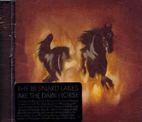 BESNARD LAKES - ARE THE DARKHORSE