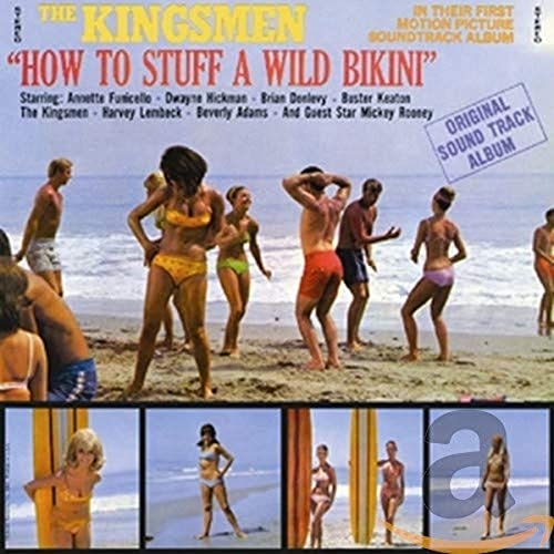 SOUNDTRACK - HOW TO STUFF A WILD BIKINI