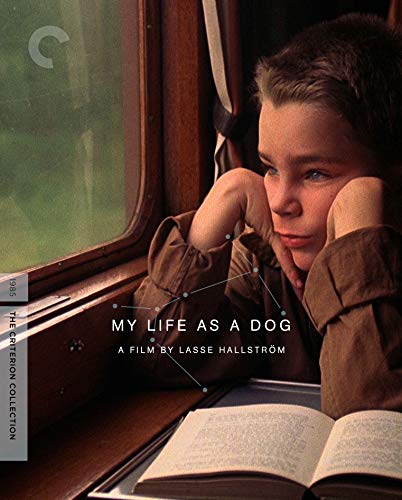 MY LIFE AS A DOG (THE CRITERION COLLECTION) [BLU-RAY]