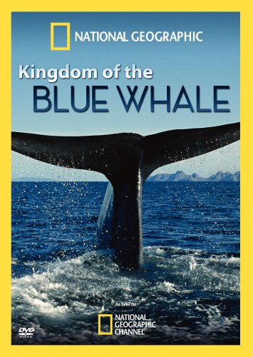 KINGDOM OF THE BLUE WHALE