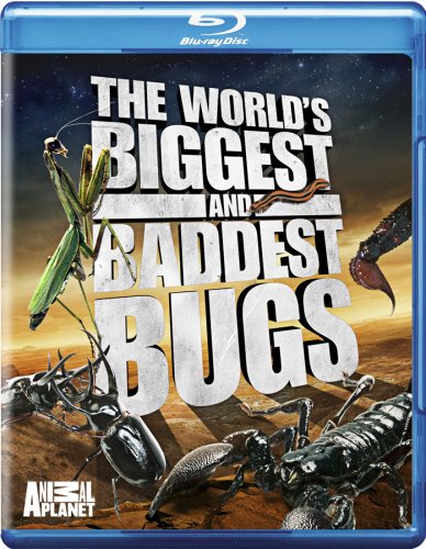 WORLD'S BIGGEST & BADDEST BUGS  - BLU-ANIMAL PLANET