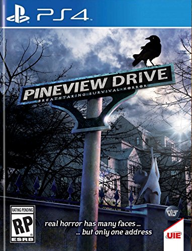 UIG ENTERTAINMENT PINEVIEW DRIVE PLAYSTATION 4