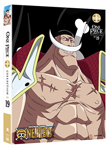 ONE PIECE: COLLECTION 19