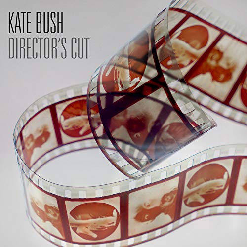 KATE BUSH - DIRECTOR'S CUT (2018 REMASTER) (VINYL)