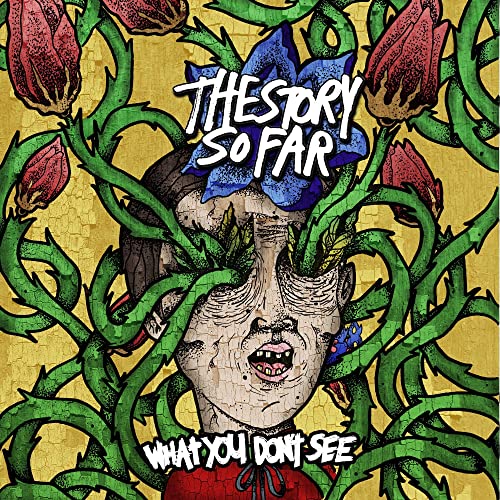 THE STORY SO FAR - WHAT YOU DON'T SEE (VINYL)