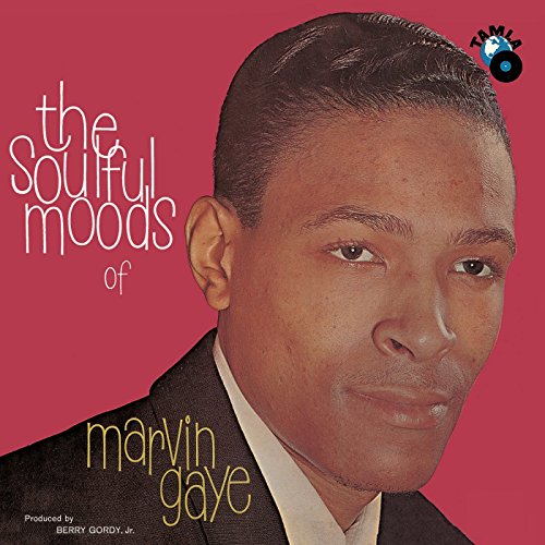 GAYE, MARVIN - THE SOULFUL MOODS OF MARVIN GAYE [VINYL]