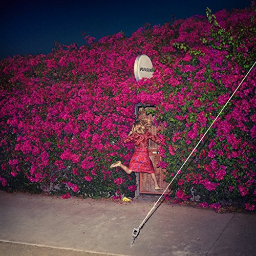 FEIST - PLEASURE (CD)