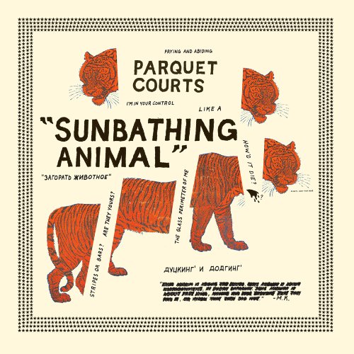 PARQUET COURTS - SUNBATHING ANIMAL (VINYL)