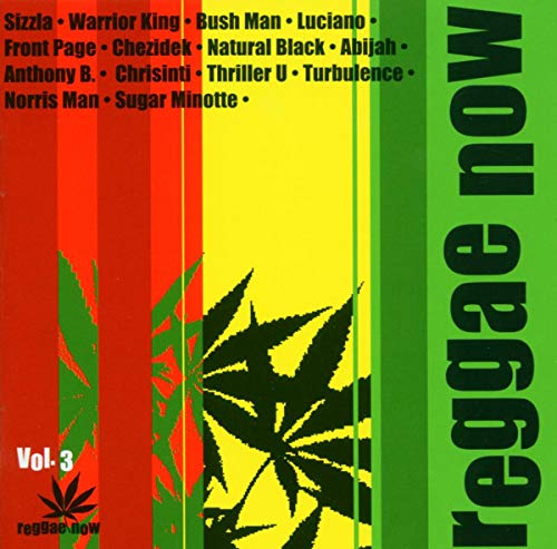 VARIOUS ARTISTS - REGGAE NOW VOL.3 (CD)