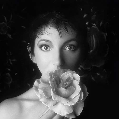 KATE BUSH - REMASTERED IN VINYL II (4LP)