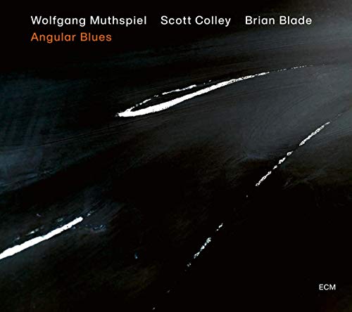 WOLFGANG MUTHSPIEL, SCOTT COLLEY, BRIAN BLADE - ANGULAR BLUES (VINYL)