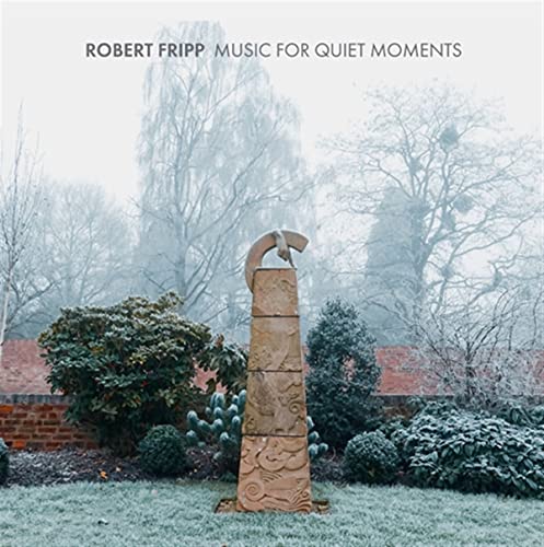 FRIPP,ROBERT - MUSIC FOR QUIET MOMENTS (8CD/BOOK) (CD)
