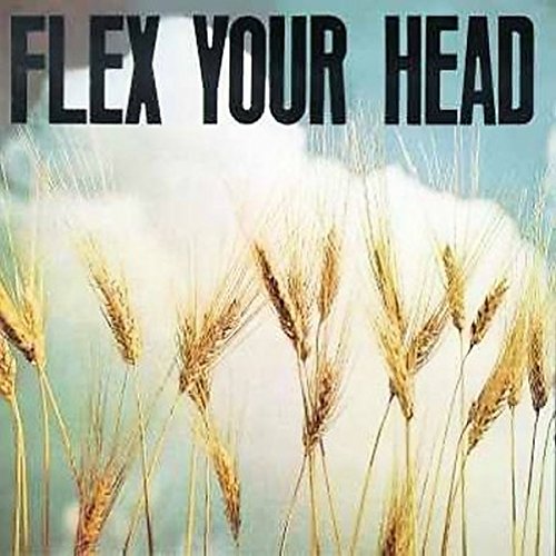 VARIOUS ARTISTS - FLEX YOUR HEAD (VINYL)