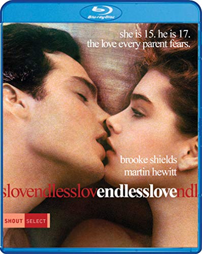 ENDLESS LOVE [BLU-RAY]