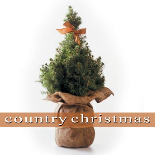 VARIOUS ARTISTS - COUNTRY CHRISTMAS (CD)