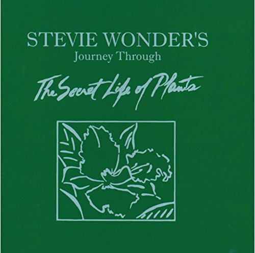 STEVIE WONDER - JOURNEY THROUGH THE SECRET (CD)