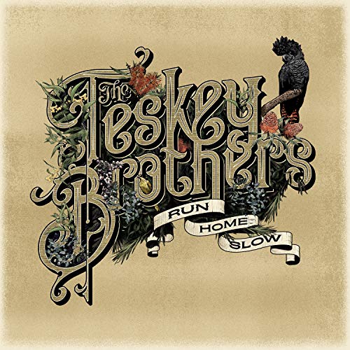 THE TESKEY BROTHERS - RUN HOME SLOW (VINYL)