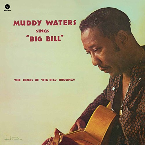 WATERS,MUDDY - SINGS BIG BILL BROONZY (VINYL)