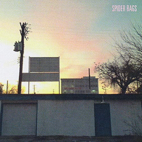 SPIDER BAGS - SOMEDAY EVERYTHING WILL BE FINE (VINYL)