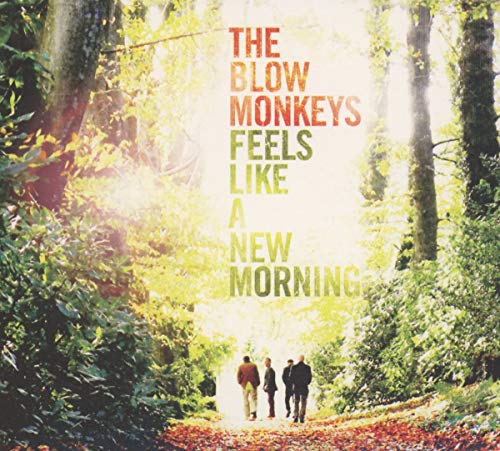 BLOW MONKEYS - FEELS LIKE A NEW MORNING (CD)