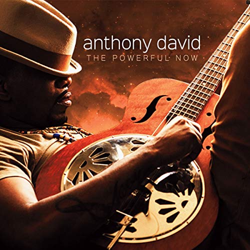 DAVID, ANTHONY - THE POWERFUL NOW (CD)