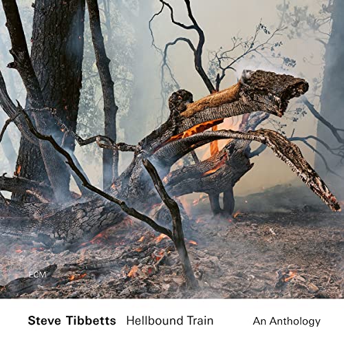 STEVE TIBBETTS - HELLBOUND TRAIN: AN ANTHOLOGY (CD)
