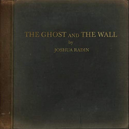 JOSHUA RADIN - THE GHOST AND THE WALL (LP)