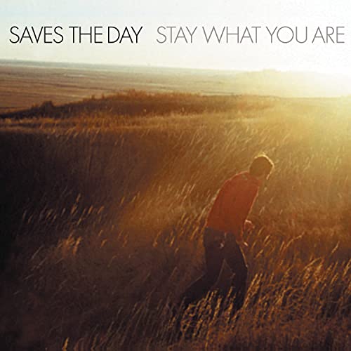 SAVES THE DAY - STAY WHAT YOU ARE (BROWN DOUBLE 10" VINYL) [LIMITED EDITION]