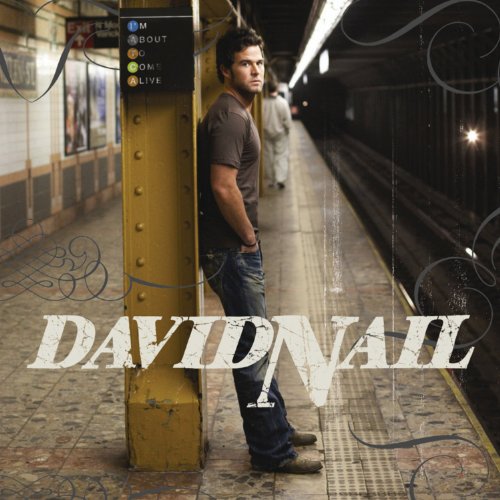 DAVID NAIL - I'M ABOUT TO COME ALIVE (CD)