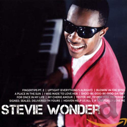 STEVIE WONDER - ICON (CD)