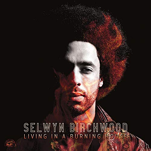 SELWYN BIRCHWOOD - LIVING IN A BURNING HOUSE (VINYL)