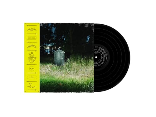 FRANK CARTER & THE RATTLESNAKES - DARK RAINBOW (VINYL)