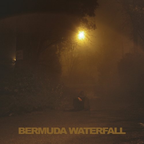 SAVAGE,SEAN NICOLAS - BERMUDA WATERFALL (VINYL)