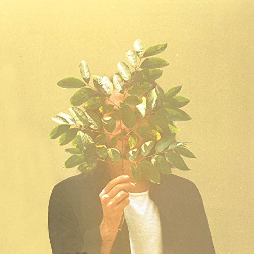 FKJ - FRENCH KIWI JUICE (2LP)