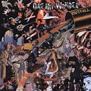 ONE HIT WONDER - OUTFALL (VINYL)