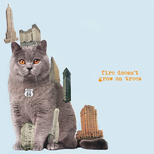 THE BRIAN JONESTOWN MASSACRE - FIRE DOESN'T GROW ON TREES (CD)